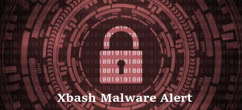 New Malware Bashes Victims With A Multitude Of Techniques