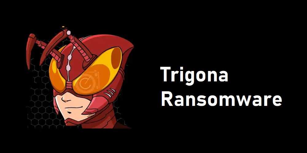 Trigona Ransomware Payment Chat Support. How May I Help You?