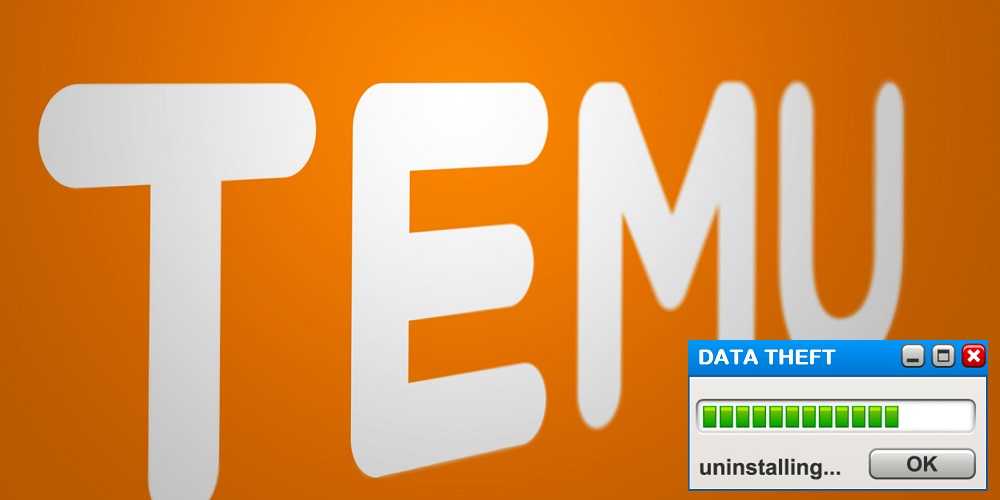  The Truth About Temu Shopping App Gives Reasons To Delete It