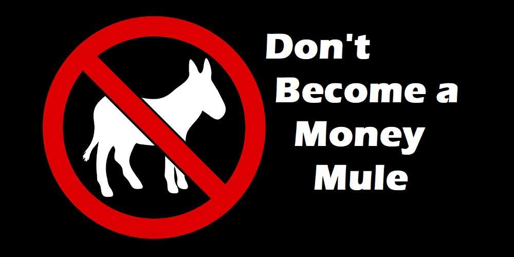 Are You A Money Mule? What You Need To Know